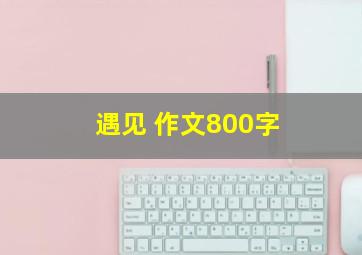 遇见 作文800字